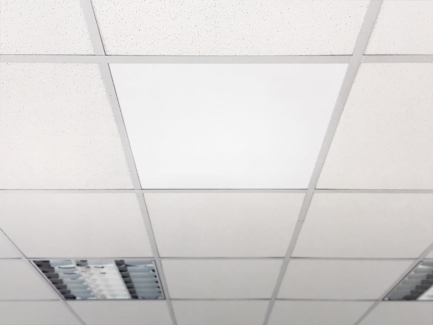 Grid_OHLE_Sotermo_infrarood_paneel systeemplafond