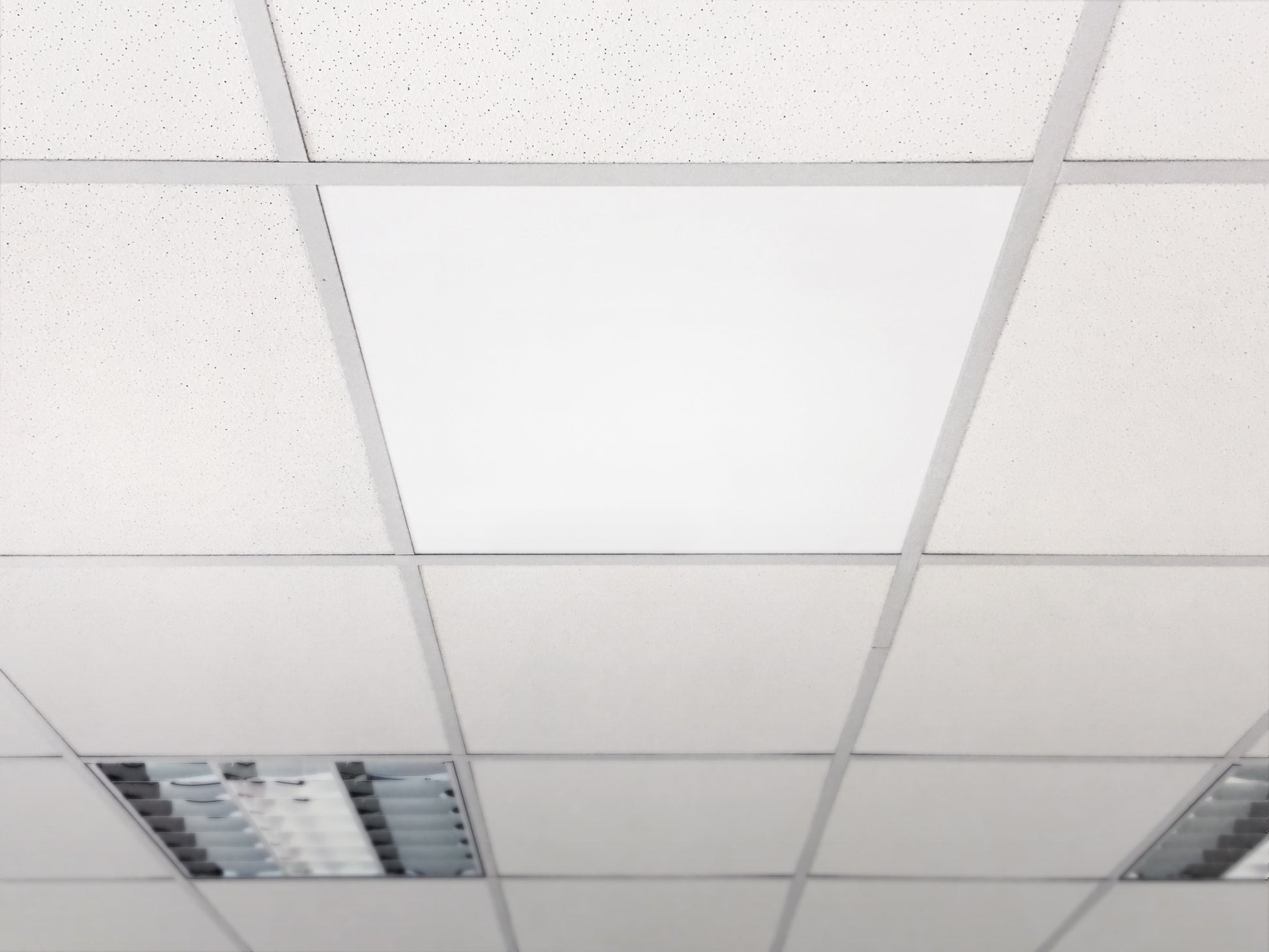 Grid_OHLE_Sotermo_infrarood_paneel systeemplafond