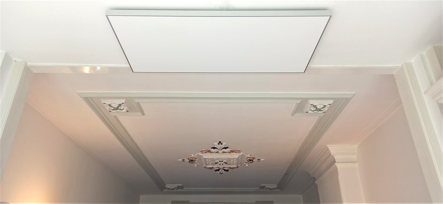 FirTec+ 1300 infraroodpaneel 120 x 60 cm - Krachtig en Efficiënt