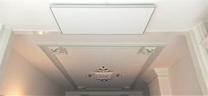 FirTec+ 1300 infraroodpaneel 120 x 60 cm - Krachtig en Efficiënt