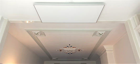 FirTec+ 1300 infraroodpaneel 120 x 60 cm - Krachtig en Efficiënt