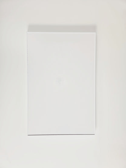 FirTec_800watt_infrarood_paneel